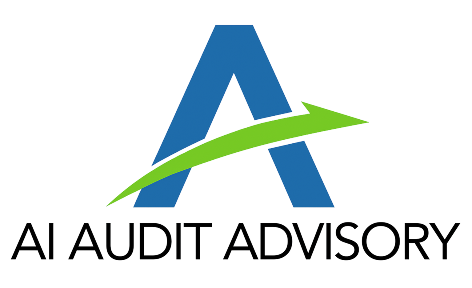 AI Audit Advisory